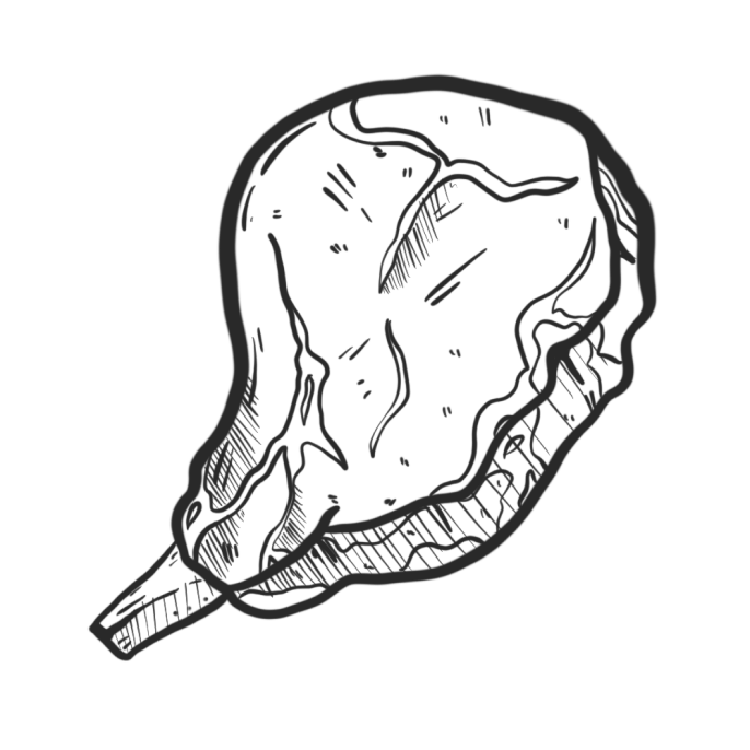 Illustration eines hochwertigen Fleischstücks – Symbol für lokale, nachhaltige Fleischqualität bei Foodliner.