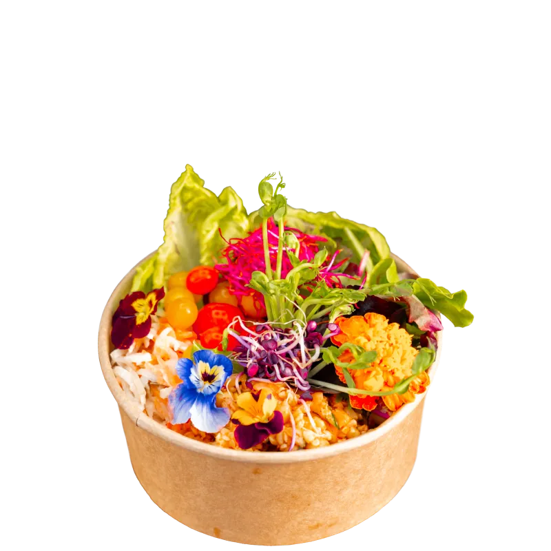 Foodliner frischer Salat mit buntem Gemüse, essbaren Blüten und knackigen Zutaten – die perfekte leichte und gesunde Beilage.